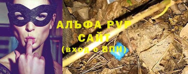 мдпв Новозыбков